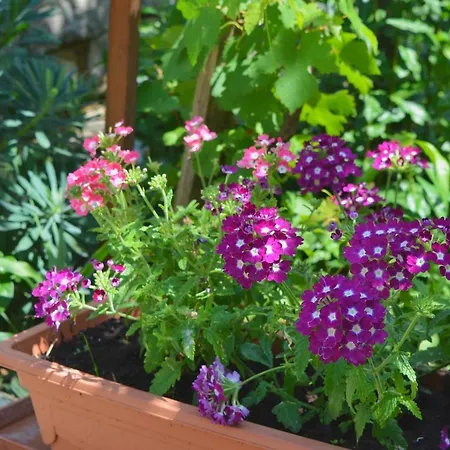 With A Parking Space Smrika, Kraljevica - 15700 דירה *